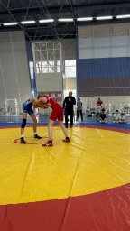 Межрайонный турнир по вольной борьбе памяти А.В. Перевощикова Межрайонный турнир по вольной борьбе памяти А.В. Перевощикова