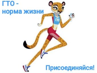 Приглашаем к участию в краевой акции "ГТО - норма жизни"!